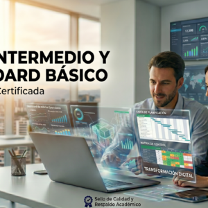Excel Intermedio y Dashboard Básico
